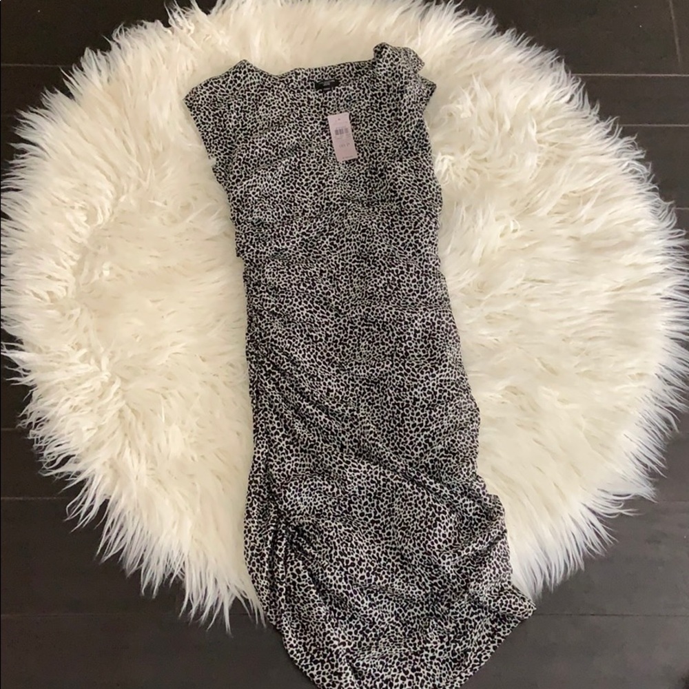 Ann Taylor Petite Dress